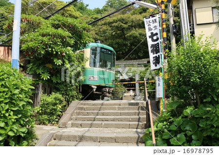 江の電と御霊神社 16978795
