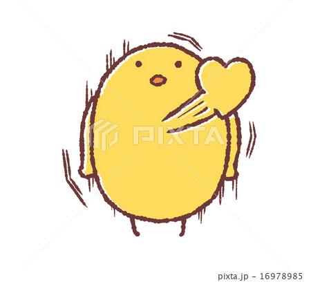 ドキッとするヒヨコ 16978985