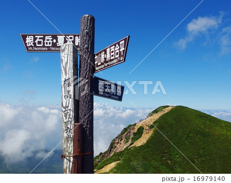 天狗岳山頂 16979140