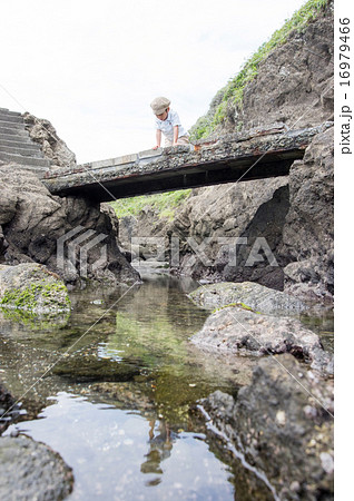 石橋から下を見る子供(三浦半島、長浜海岸) 石橋から下を見る子供(三浦半島、長浜海岸) 16979466