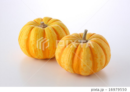 観賞用かぼちゃ 16979550