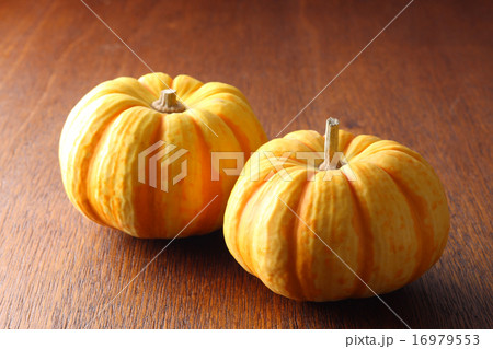 観賞用かぼちゃ 16979553