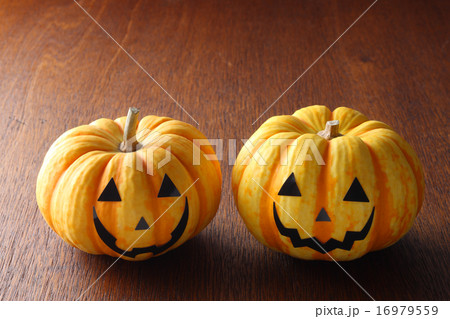 観賞用かぼちゃ 観賞用かぼちゃ 16979559