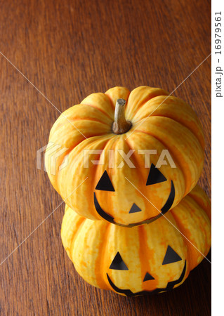観賞用かぼちゃ 16979561