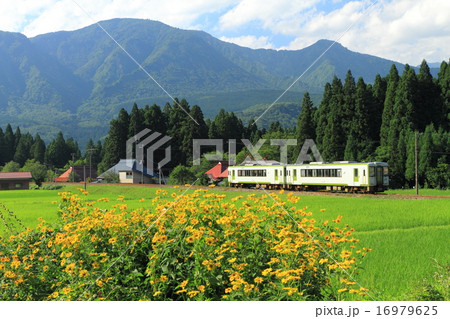 磐越西線「山々と向日葵咲く田園風景」 16979625