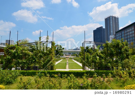 大阪 中之島公園の風景 大阪 中之島公園の風景 16980291