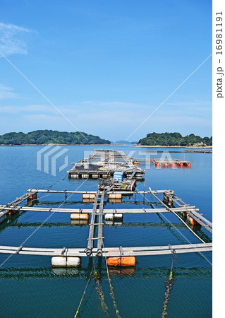 Aquaculture in Saikai National Park Aquaculture in Saikai National Park 16981191