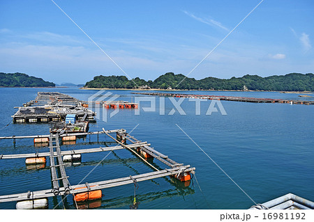 Aquaculture in Saikai National Park Aquaculture in Saikai National Park 16981192