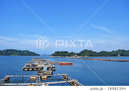 Aquaculture in Saikai National Park Aquaculture in Saikai National Park 16981364