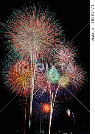 夏の夜空を彩る花火 16981471