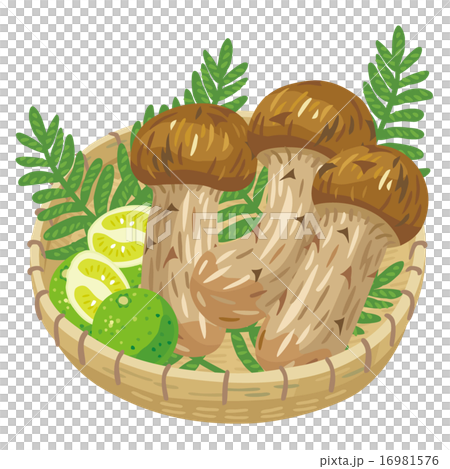 Matsutake mushi 02 Matsutake mushi 02 16981576