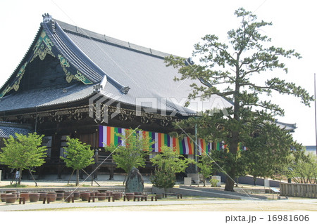専修寺 16981606