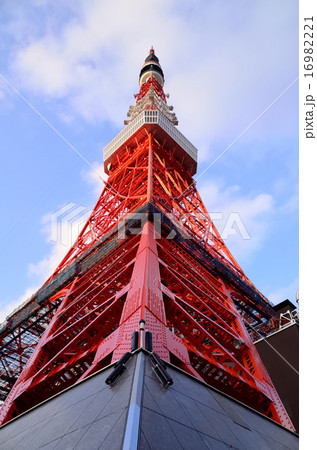 東京タワー 東京タワー 16982221