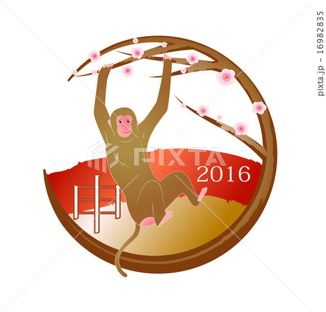 さる　梅 16982835