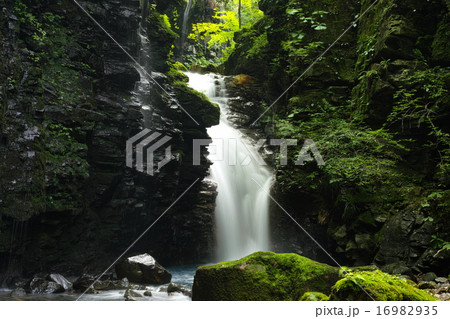 雄飛の滝 (那須塩原市 スッカン沢) 雄飛の滝 (那須塩原市 スッカン沢) 16982935