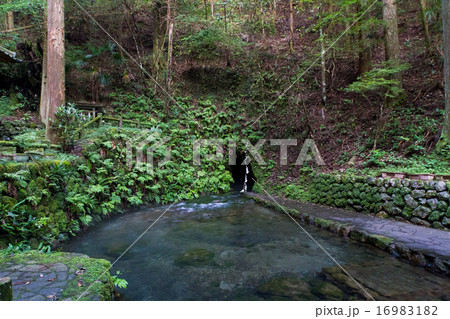 愛媛県　観音水　最奥 16983182