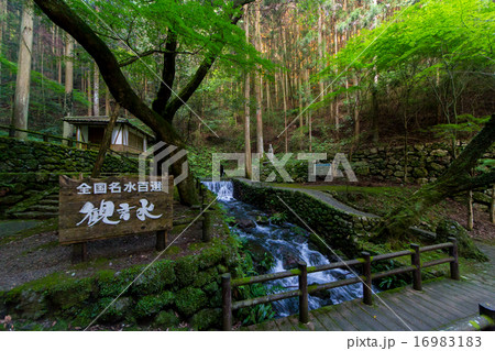 愛媛県　観音水　最奥 16983183