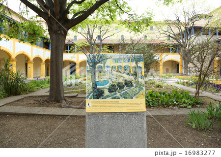 ゴッホの入院していた病院と中庭 ゴッホの入院していた病院と中庭 16983277