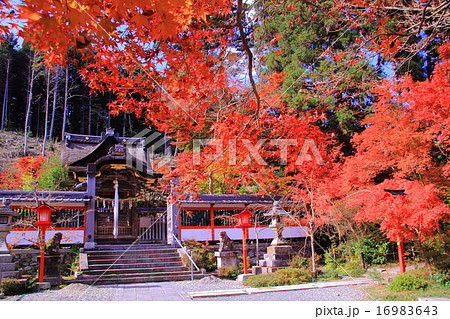 鍬山神社（京都　亀岡）境内の紅葉 16983643