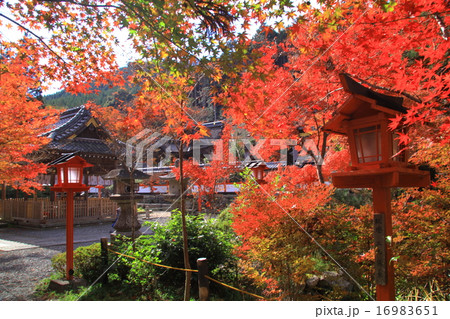 鍬山神社（京都　亀岡）境内の紅葉 16983651