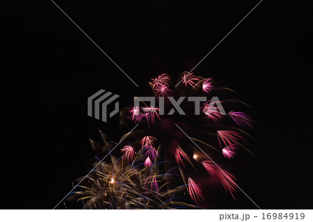 花火 16984919