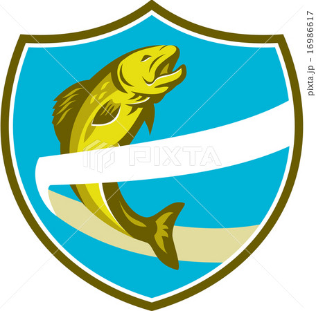 Trout Jumping Over Ribbon Shield Retro 16986617