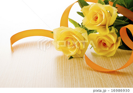 黄色い薔薇 黄色い薔薇 16986930