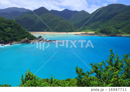 高浜海水浴場 16987711