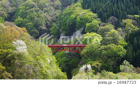 高山村山田温泉高井橋 16987725