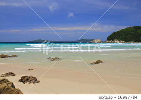 高浜海水浴場 16987784