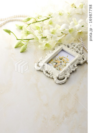 背景イメージ 16987798