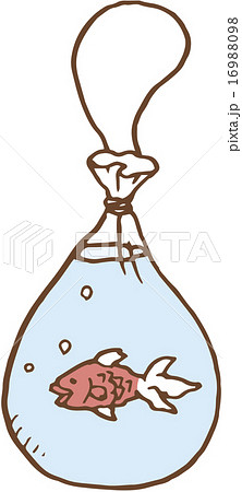 金魚 金魚 16988098
