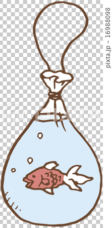 金魚 金魚 16988098