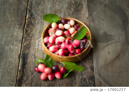 Karanda fruit, Carissa carandas. 17001257