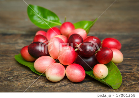 Karanda fruit, Carissa carandas. 17001259