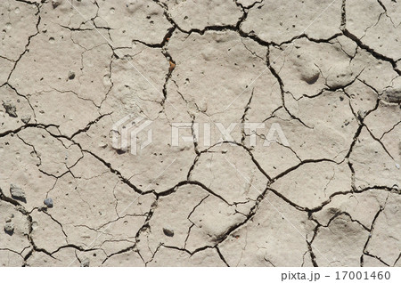 dryness - dried ground dryness - dried ground 17001460