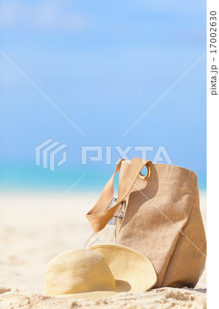 tropical vacation 17002630