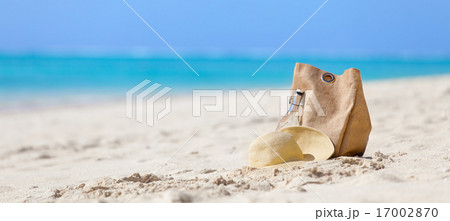 vacation concept 17002870