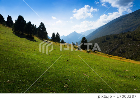 highland meadow 17003287