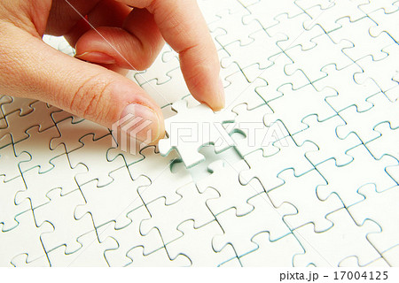 puzzle 17004125