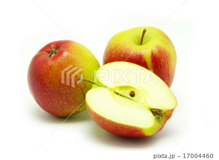 apples apples 17004460