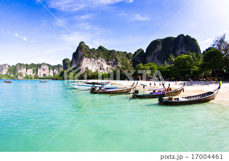 Tropical beach Tropical beach 17004461