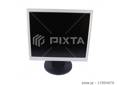 monitor 17004879