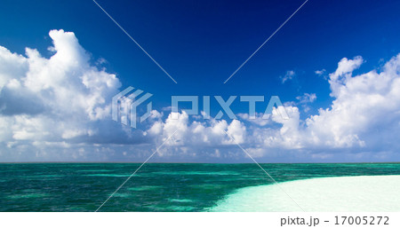beach beach 17005272