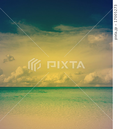 sea sea 17005273
