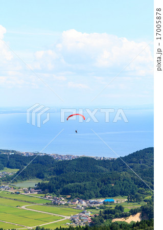 寒風山でのパラグライダー 寒風山でのパラグライダー 17005878