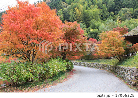重源の郷の紅葉 17006329