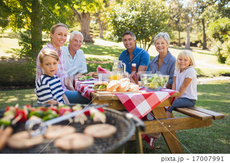 Happy family having picnic in the park 17007991