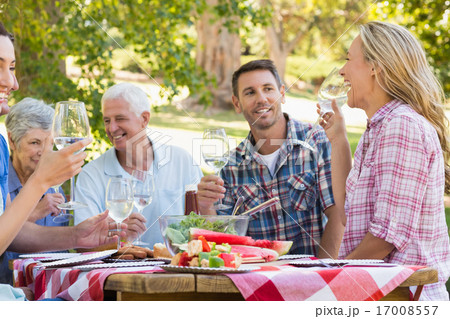 Happy family having picnic in the park 17008557