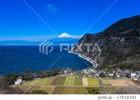伊豆 井田からの富士山 伊豆 井田からの富士山 17010392